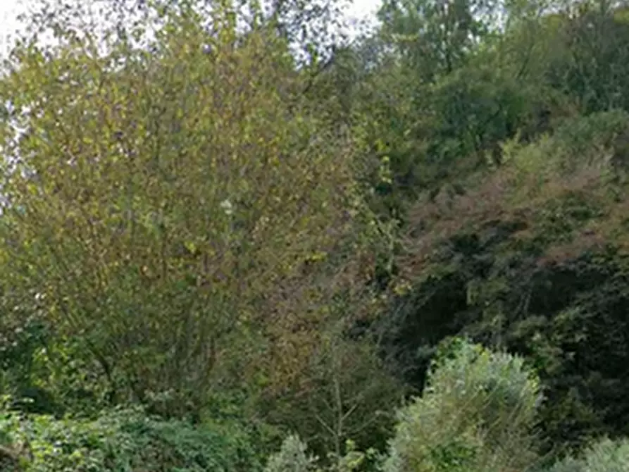 Immagine 2 di Terreno agricolo in vendita  in Via Ronco Praderigo a Olginate