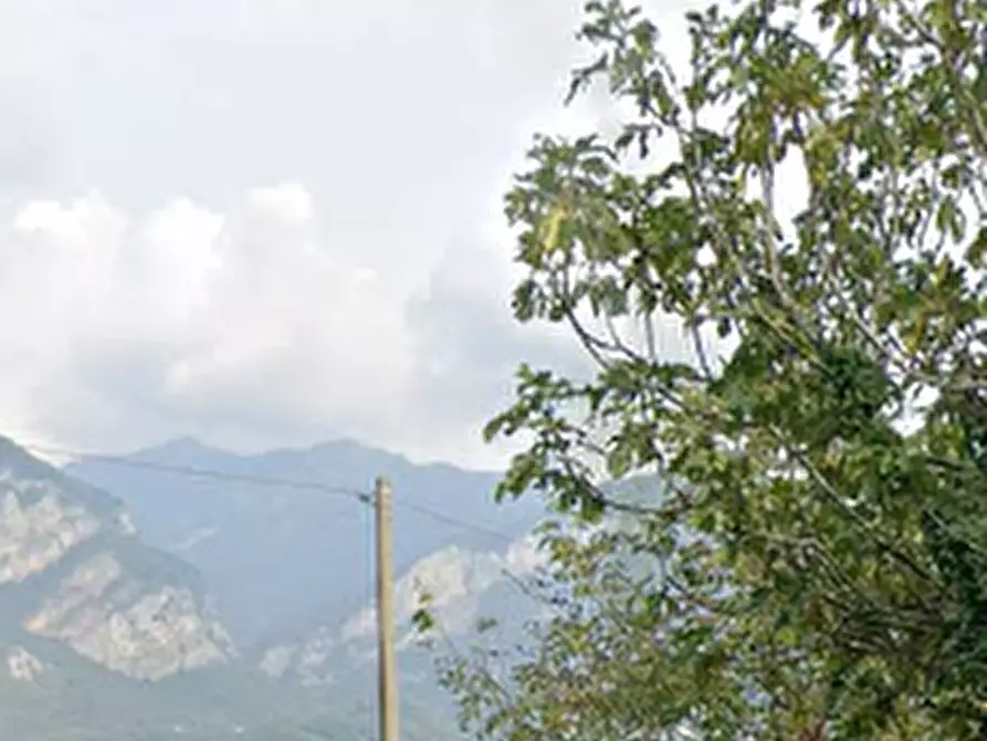 Immagine 3 di Terreno agricolo in vendita  in Via Ronco Praderigo a Olginate