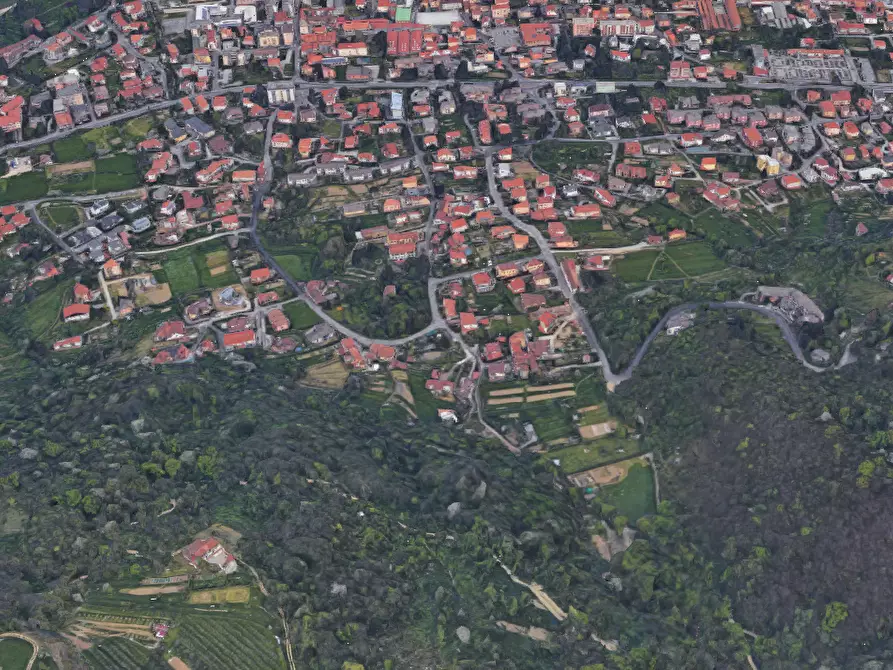 Immagine 6 di Terreno agricolo in vendita  in Via Ronco Praderigo a Olginate