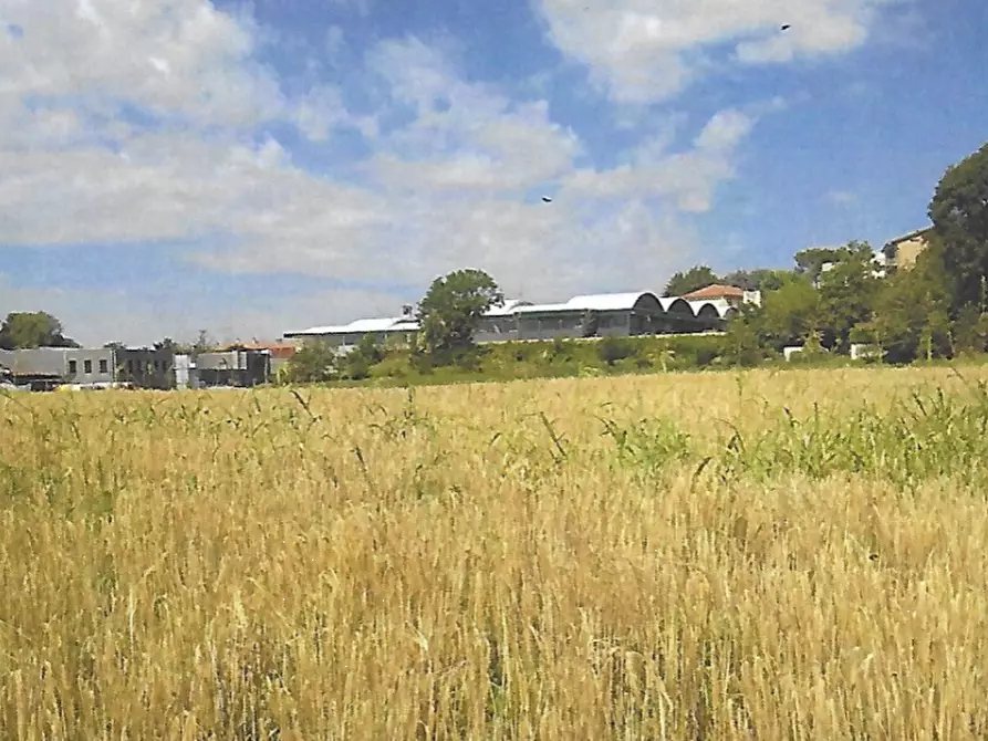 Immagine 1 di Terreno agricolo in vendita  in Strada Consorziale a Nibionno