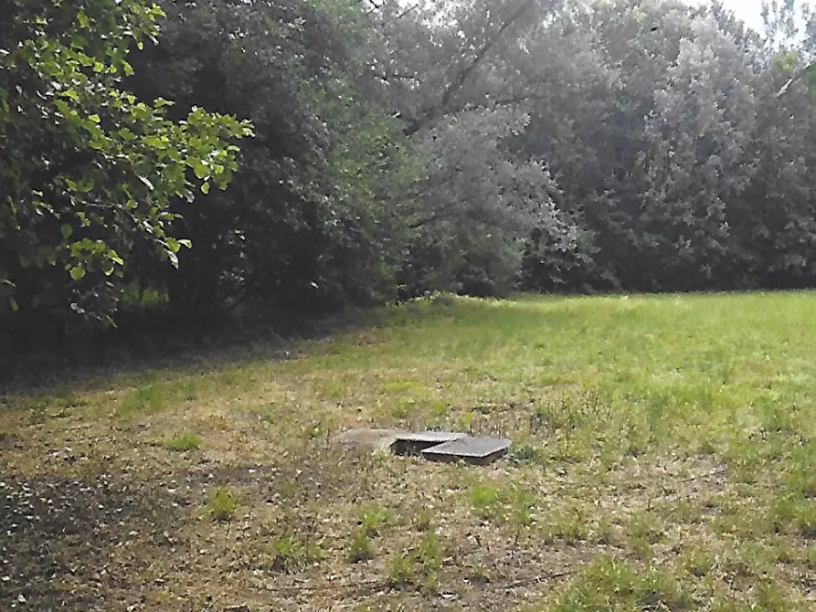 Immagine 7 di Terreno agricolo in vendita  in Strada Consorziale a Nibionno