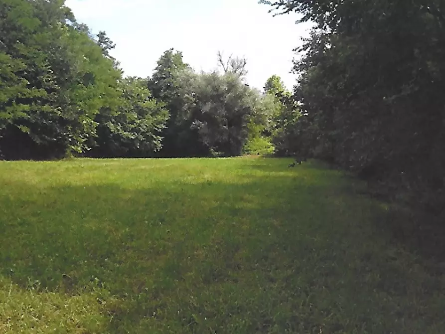 Immagine 8 di Terreno agricolo in vendita  in Strada Consorziale a Nibionno