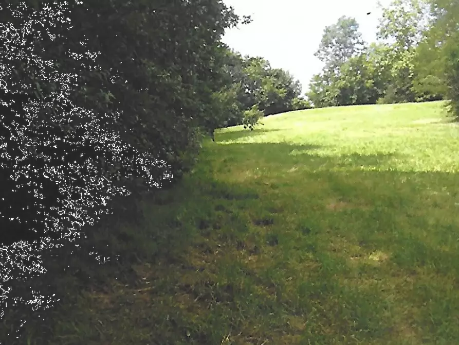 Immagine 9 di Terreno agricolo in vendita  in Strada Consorziale a Nibionno