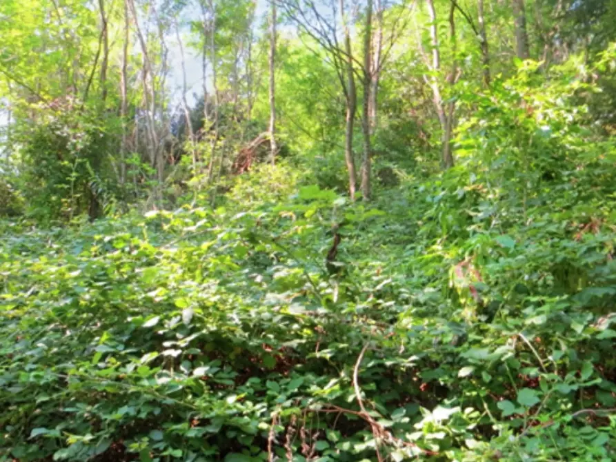 Immagine 1 di Terreno agricolo in vendita  in Frazione Buttello a Valgreghentino