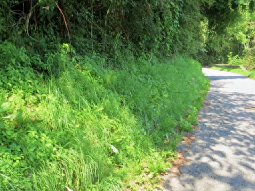 Immagine 2 di Terreno agricolo in vendita  in Frazione Buttello a Valgreghentino