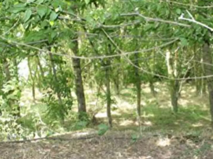 Immagine 21 di Casa indipendente in vendita  in Via Prampolini a Terre Del Reno