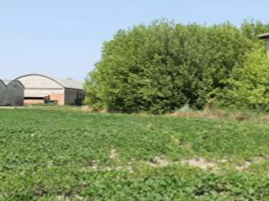 Immagine 22 di Casa indipendente in vendita  in Via Prampolini a Terre Del Reno