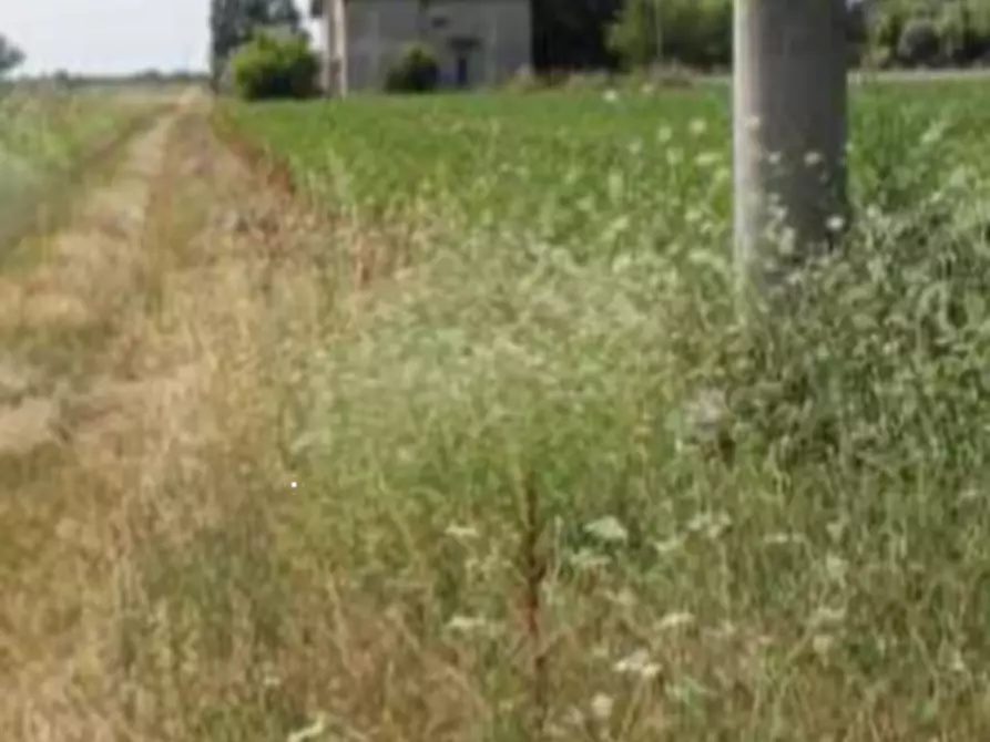Immagine 23 di Casa indipendente in vendita  in Via Prampolini a Terre Del Reno