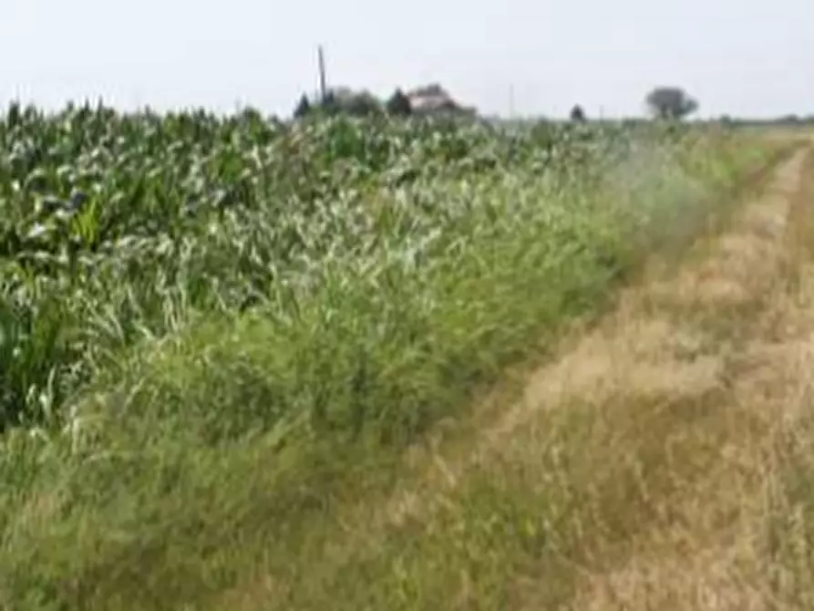 Immagine 24 di Casa indipendente in vendita  in Via Prampolini a Terre Del Reno