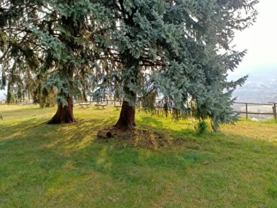 Immagine 5 di Negozio in vendita  in Via libertà  a Casalzuigno