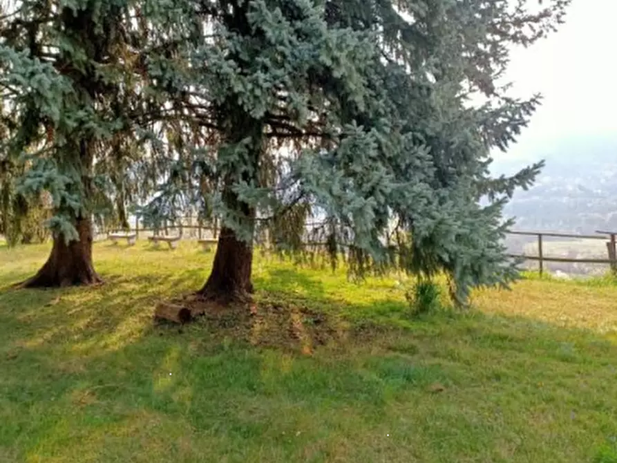 Immagine 6 di Negozio in vendita  in Via libertà  a Casalzuigno