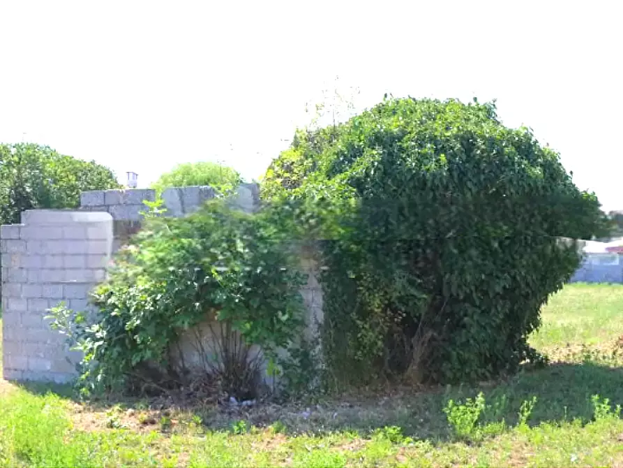 Immagine 5 di Casa indipendente in vendita  in Via Giai a Annone Veneto