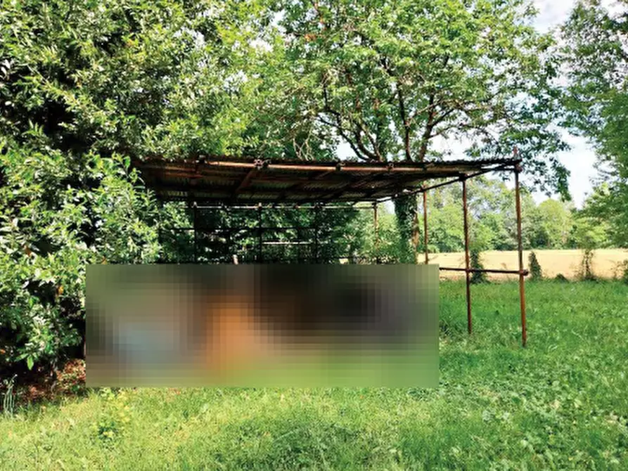 Immagine 4 di Villa in vendita  in Via Ghetto a Mogliano Veneto