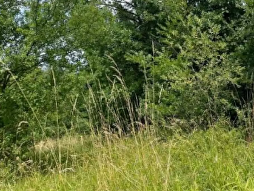 Immagine 7 di Casa indipendente in vendita  in Via Malcantone  a Savigno