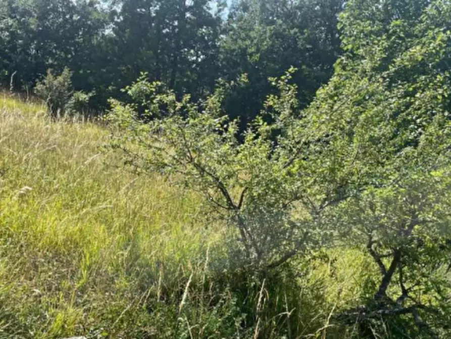 Immagine 17 di Casa indipendente in vendita  in Via Malcantone  a Savigno