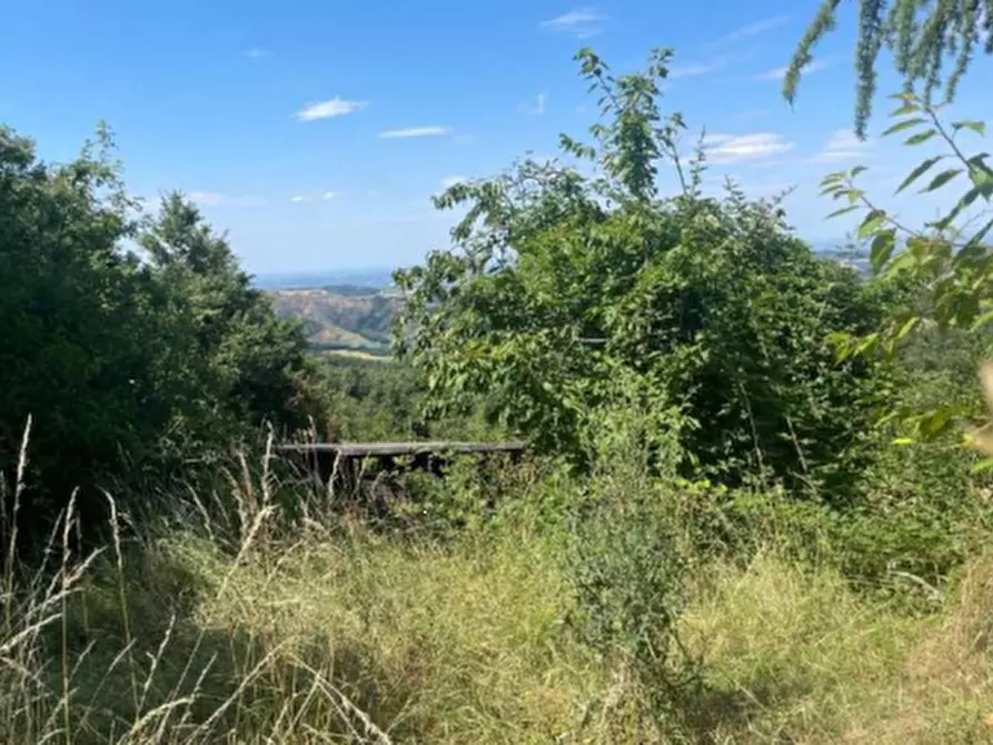 Immagine 18 di Casa indipendente in vendita  in Via Malcantone  a Savigno