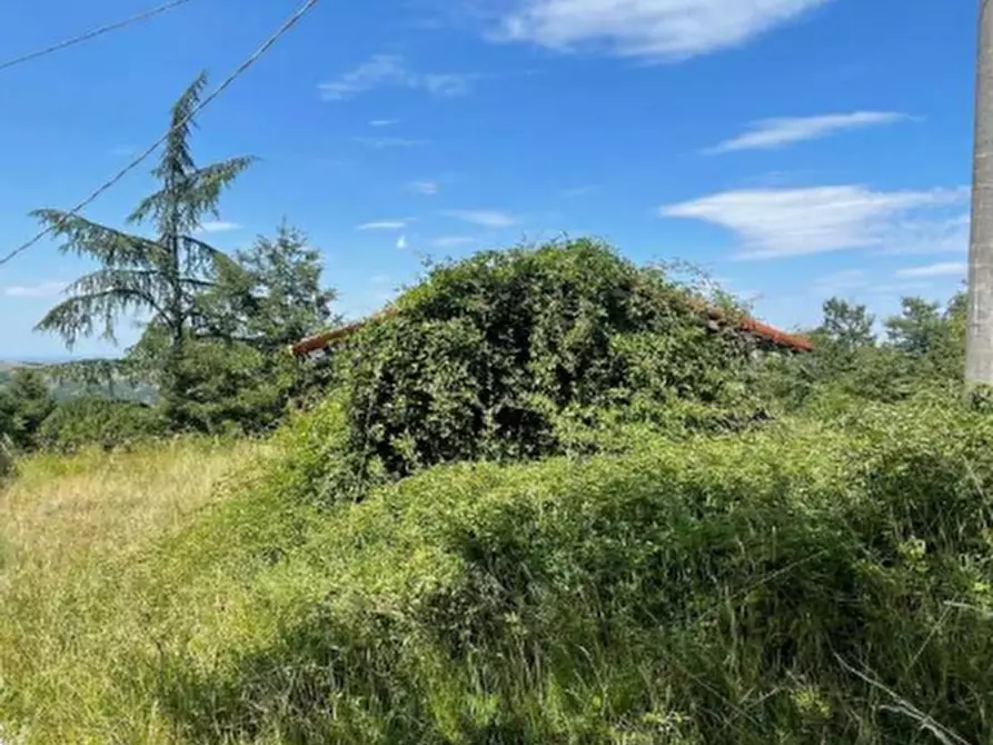 Immagine 21 di Casa indipendente in vendita  in Via Malcantone  a Savigno