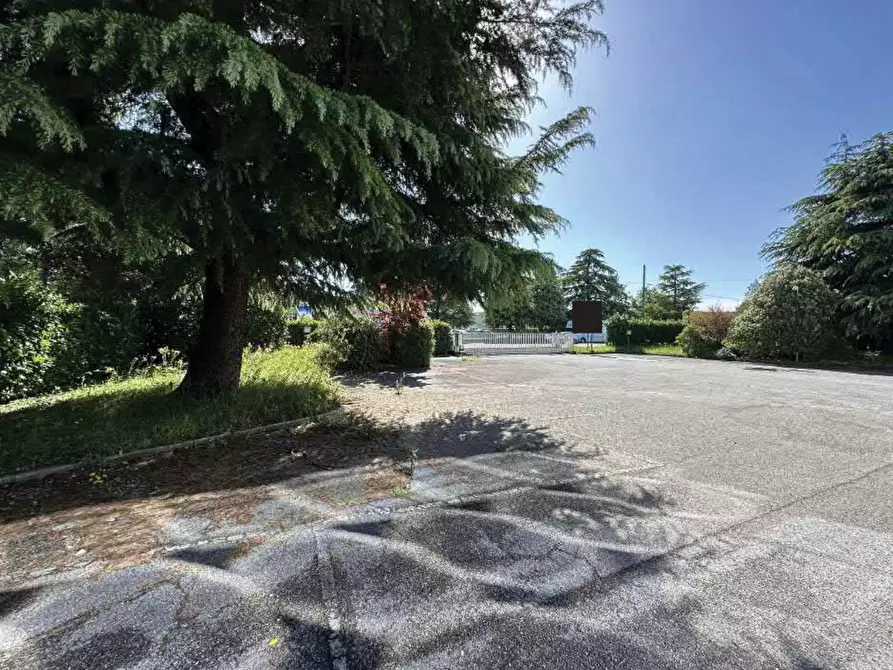 Immagine 4 di Capannone industriale in vendita  in Via Oderzo a Mansuè