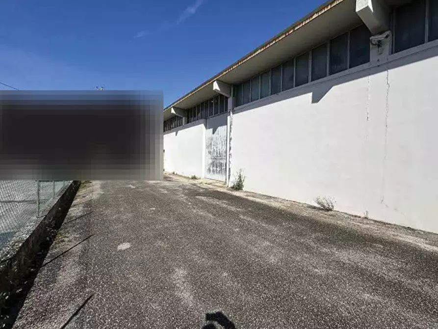 Immagine 5 di Capannone industriale in vendita  in Via Oderzo a Mansuè