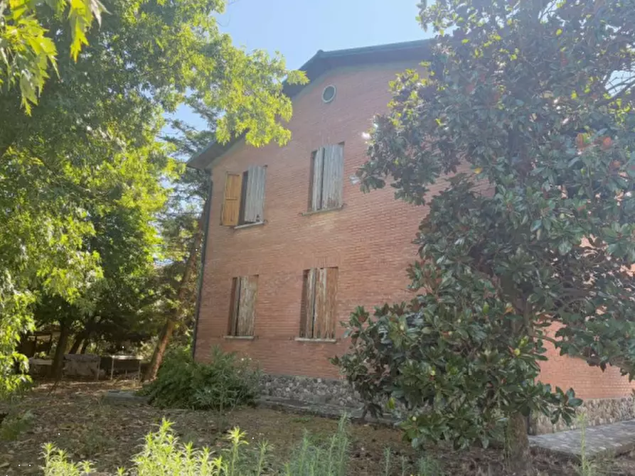 Immagine 3 di Appartamento in vendita  in Via San Vitale Ovest a Medicina