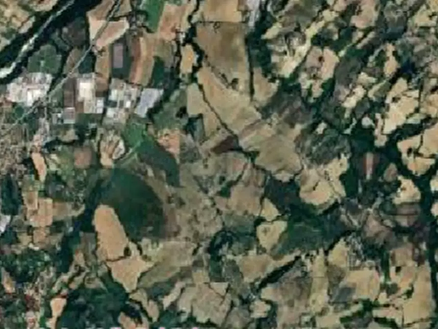 Immagine 2 di Terreno edificabile in vendita  in Località Pian di Rose a Sant'ippolito