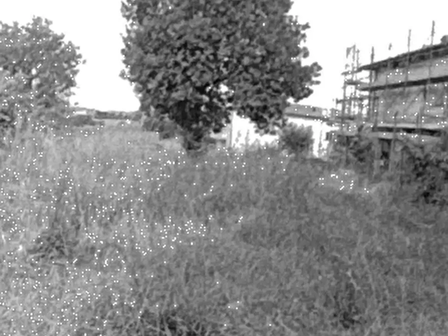 Immagine 2 di Terreno agricolo in vendita  in Strada Mondolfo a San Costanzo