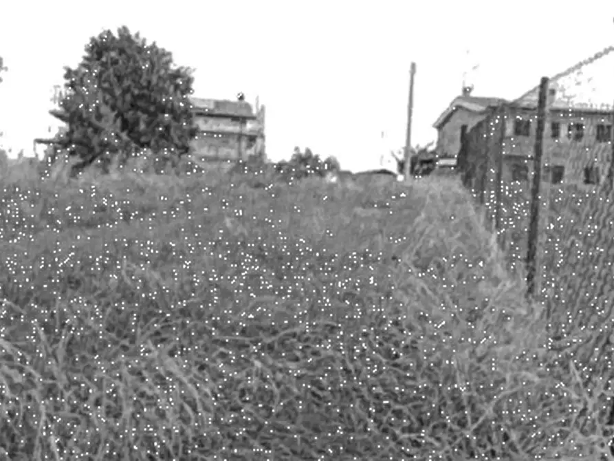 Immagine 1 di Terreno agricolo in vendita  in Strada Mondolfo a San Costanzo