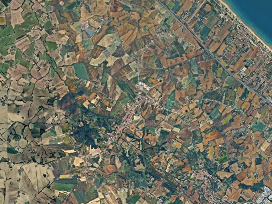 Immagine 3 di Terreno agricolo in vendita  in Strada Mondolfo a San Costanzo