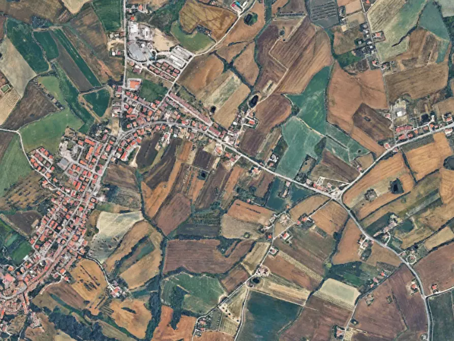 Immagine 4 di Terreno agricolo in vendita  in Strada Mondolfo a San Costanzo