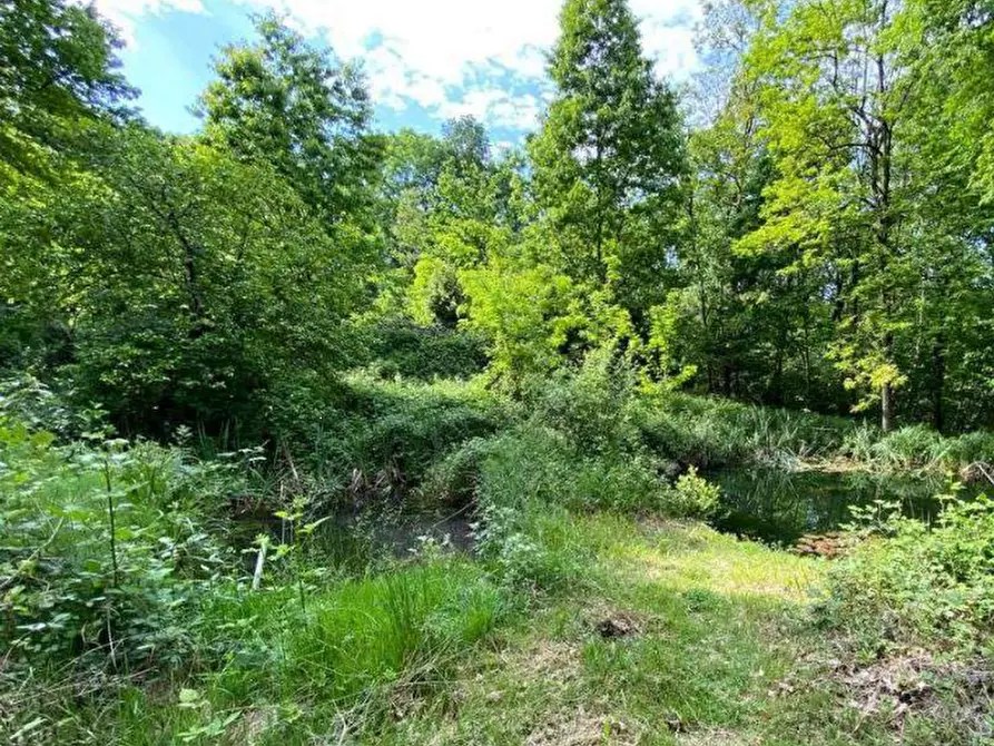 Immagine 1 di Terreno agricolo in vendita  in località Bisuschio a Bisuschio