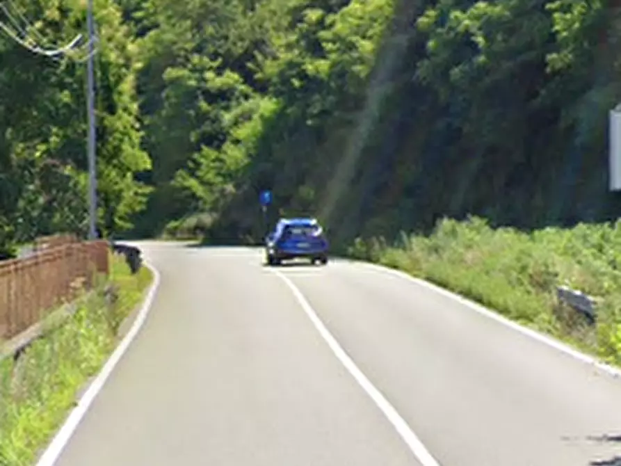 Immagine 3 di Capannone industriale in vendita  in Via Stehli a Germignaga