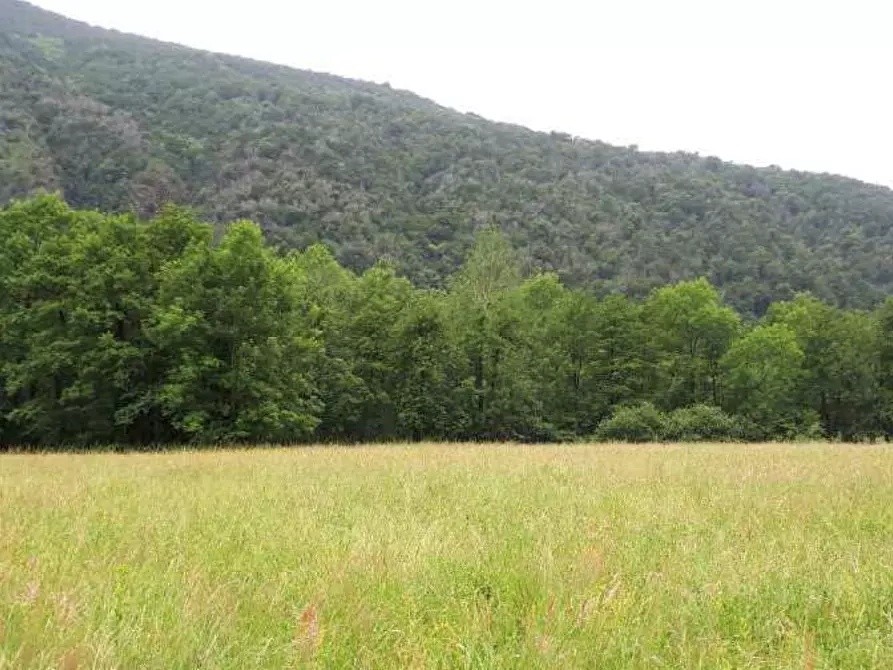 Immagine 1 di Terreno agricolo in vendita  in Località Valganna a Valganna