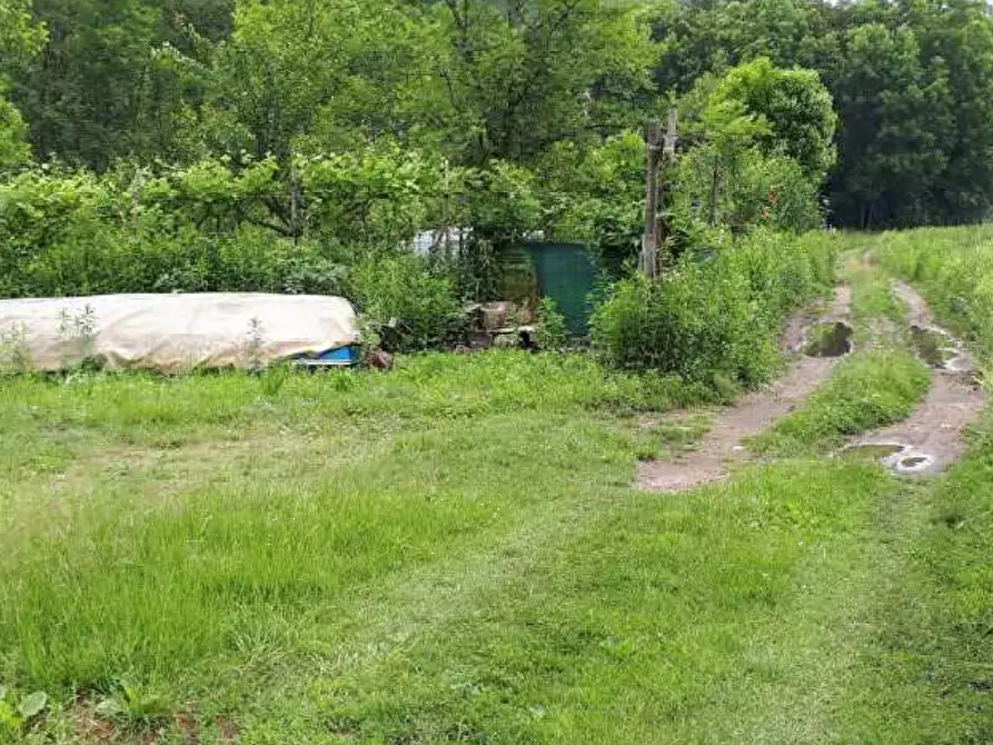 Immagine 4 di Terreno agricolo in vendita  in Località Valganna a Valganna