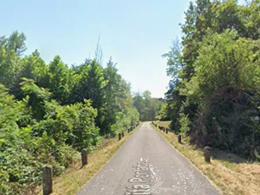 Immagine 8 di Terreno agricolo in vendita  in Località Pontaiba a Pinzano Al Tagliamento