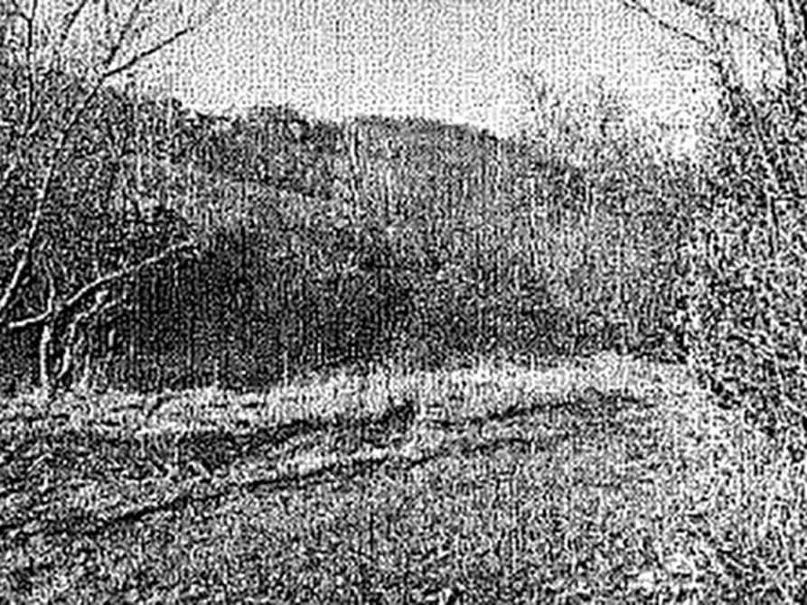 Immagine 2 di Terreno agricolo in vendita  in Località Scanzorosciate a Scanzorosciate