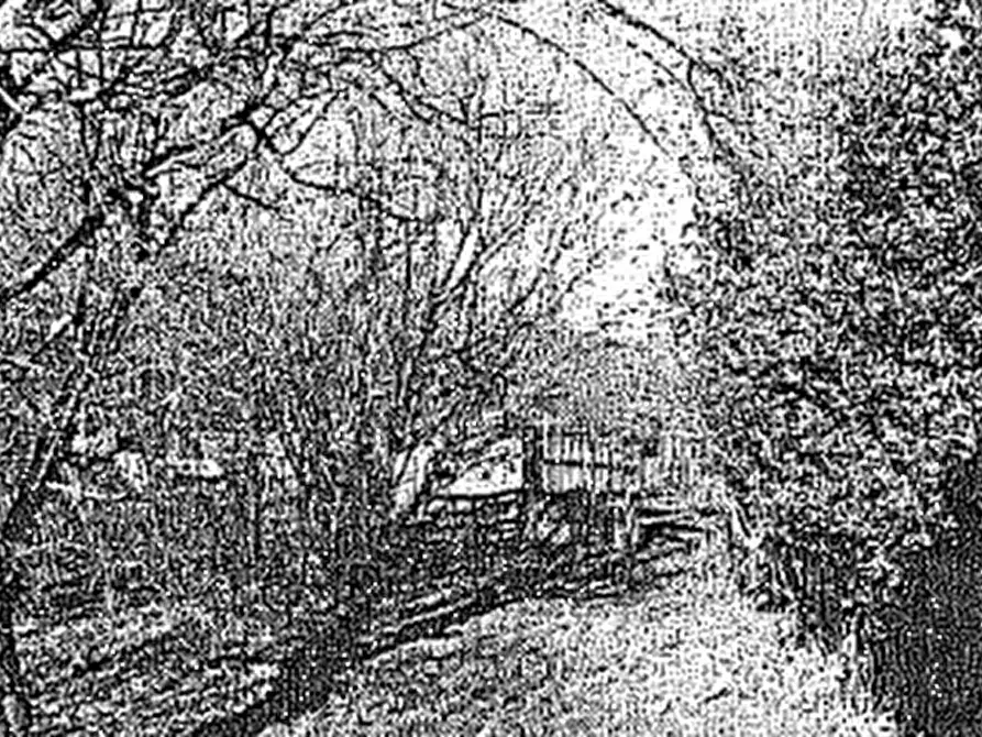 Immagine 3 di Terreno agricolo in vendita  in Località Scanzorosciate a Scanzorosciate