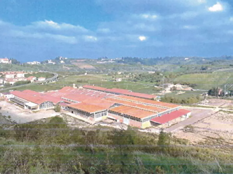 Immagine 3 di Terreno edificabile in vendita  in valletta di Rio Vallone a Castelfiorentino