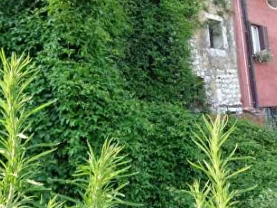 Immagine 2 di Terreno edificabile in vendita  in Via Cansiglio a Caneva