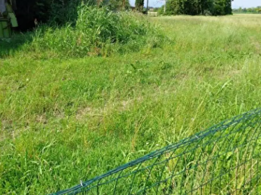 Immagine 1 di Terreno agricolo in vendita  in Via Levada a Brugnera