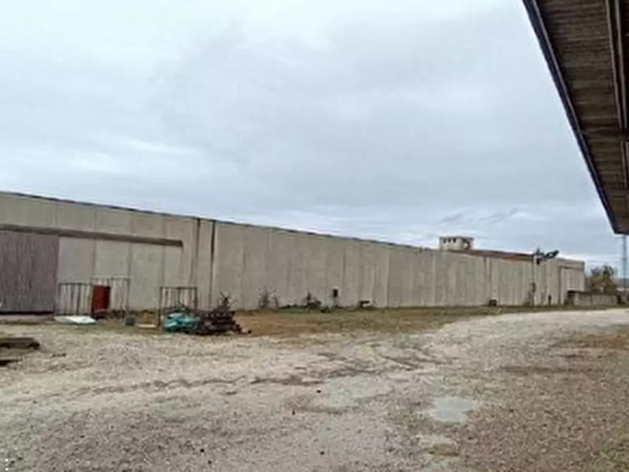 Immagine 8 di Capannone industriale in vendita  in Via Parini a Manzano