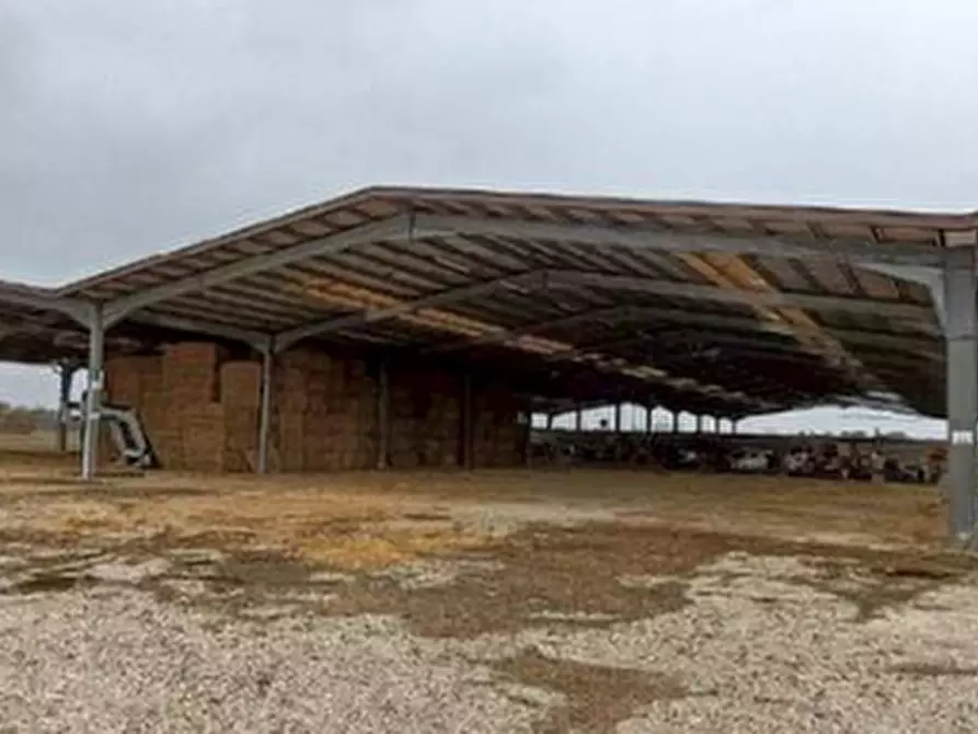 Immagine 11 di Capannone industriale in vendita  in Via Parini a Manzano