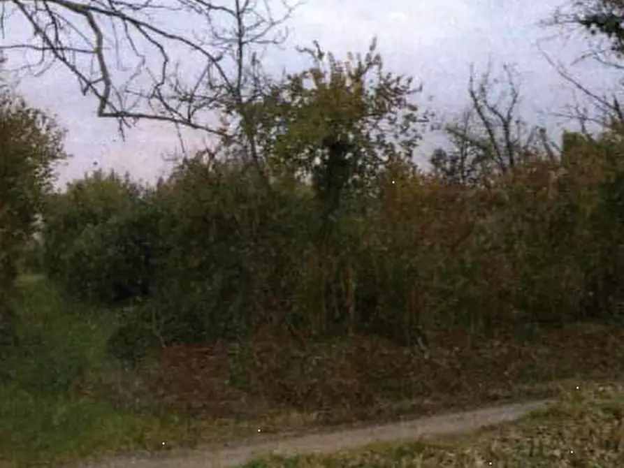 Immagine 1 di Terreno agricolo in vendita  in Località San Martino al Tagliamento a San Martino Al Tagliamento