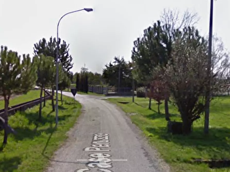 Immagine 3 di Terreno agricolo in vendita  in Località San Martino al Tagliamento a San Martino Al Tagliamento