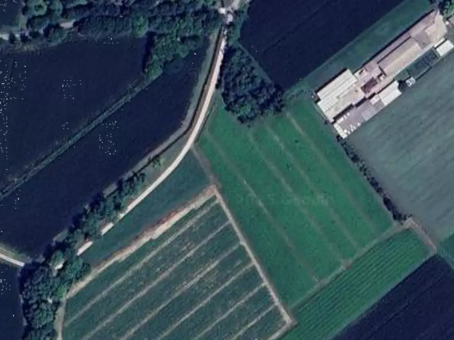 Immagine 5 di Terreno agricolo in vendita  in Località San Martino al Tagliamento a San Martino Al Tagliamento