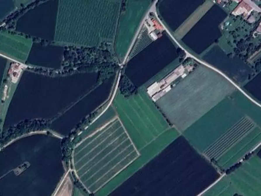 Immagine 6 di Terreno agricolo in vendita  in Località San Martino al Tagliamento a San Martino Al Tagliamento