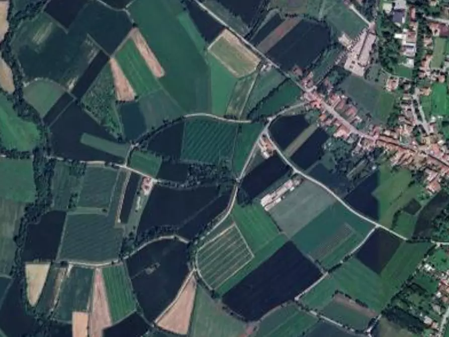 Immagine 7 di Terreno agricolo in vendita  in Località San Martino al Tagliamento a San Martino Al Tagliamento