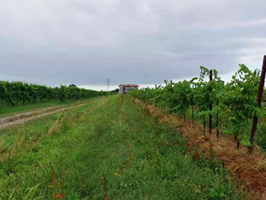Immagine 20 di Stabile in vendita  in Via Malintrada a Gorgo Al Monticano