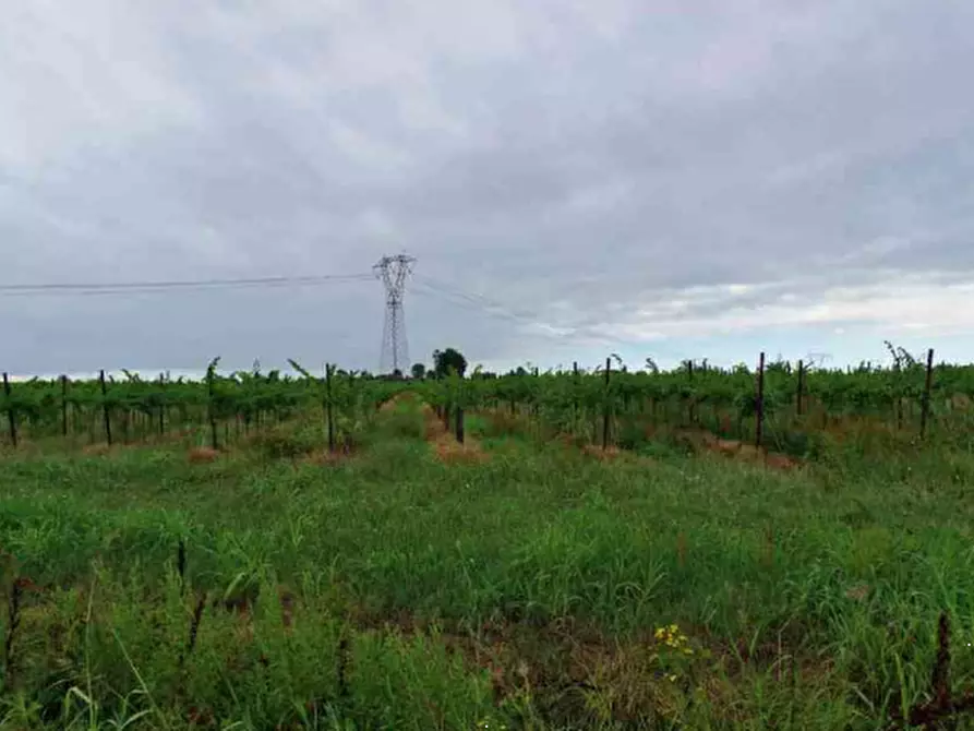 Immagine 23 di Stabile in vendita  in Via Malintrada a Gorgo Al Monticano