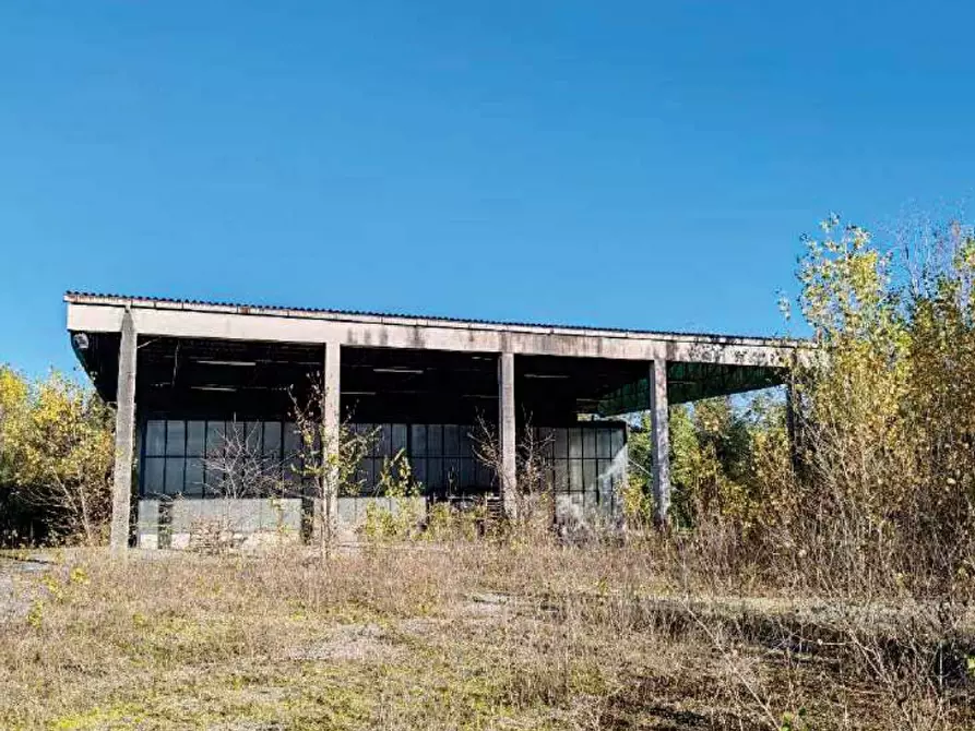Immagine 2 di Capannone industriale in vendita  in Via Risorgimento a Santa Lucia Di Piave