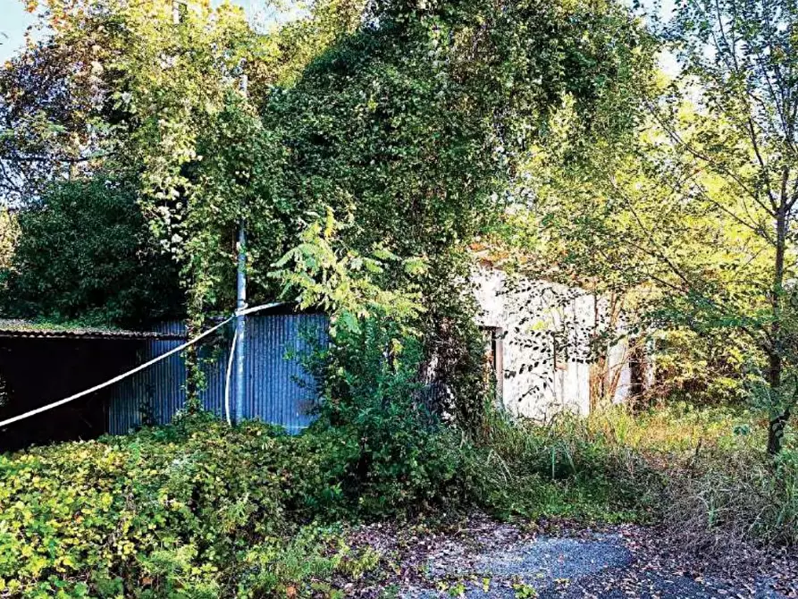 Immagine 4 di Capannone industriale in vendita  in Via Risorgimento a Santa Lucia Di Piave